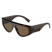 Солнцезащитные очки Dolce & Gabbana DG 4461 502/73