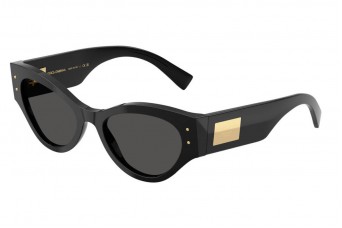 Солнцезащитные очки Dolce & Gabbana DG 4480 501/87