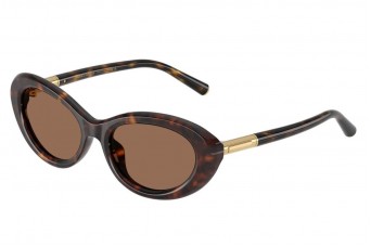 Солнцезащитные очки Dolce & Gabbana DG 4519 502/73