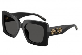 Солнцезащитные очки Dolce & Gabbana DG 4525B 501/87
