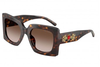 Солнцезащитные очки Dolce & Gabbana DG 4525B 502/13