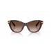 Солнцезащитные очки Dolce & Gabbana DG 4534 502/13