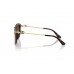 Солнцезащитные очки Dolce & Gabbana DG 4534 502/13