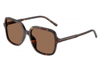 Солнцезащитные очки Dolce & Gabbana DG 4539 502/73
