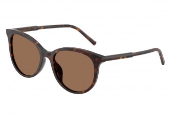 Солнцезащитные очки Dolce & Gabbana DG 4540 502/13