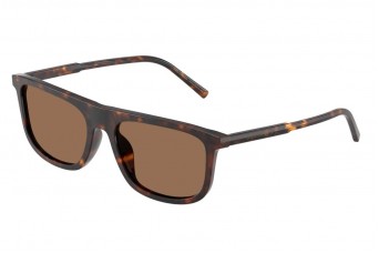Солнцезащитные очки Dolce & Gabbana DG 4542 502/73