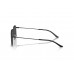 Солнцезащитные очки Emporio Armani EA 2165D 300187