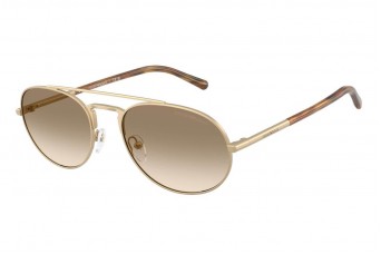 Солнцезащитные очки Emporio Armani EA 2171 300213