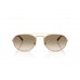 Солнцезащитные очки Emporio Armani EA 2171 300213