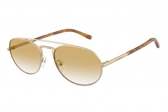 Солнцезащитные очки Emporio Armani EA 2171 30022Q