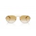 Солнцезащитные очки Emporio Armani EA 2171 30022Q