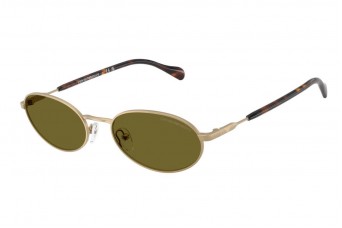 Солнцезащитные очки Emporio Armani EA 2175 3002/2