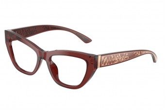 Frame Dolce & Gabbana DG 3412 3045