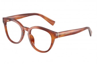Оправа Dolce & Gabbana DG 3421 3221