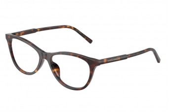Frame Dolce & Gabbana DG 3443 502