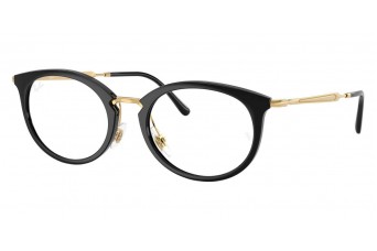 Оправа Ray-Ban RX 7255 2000