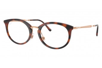 Оправа Ray-Ban RX 7255 5687