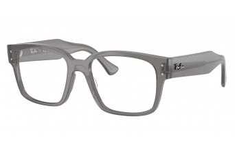 Оправа Ray-Ban RX 7256 8431