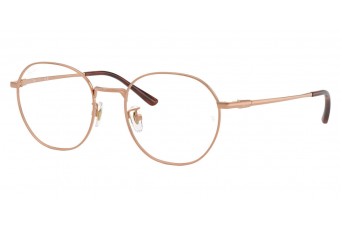 Оправа Ray-Ban RX 8778D 1245