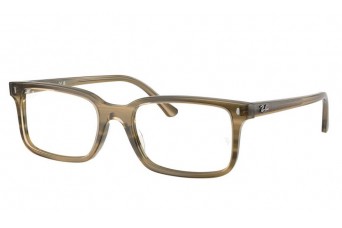 Оправа Ray-Ban RX 5445 8454