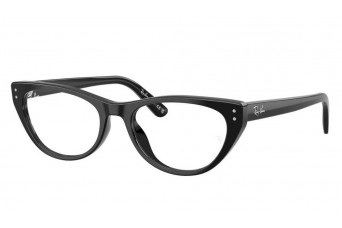 Оправа Ray-Ban RX 5449D 2000