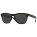 Солнцезащитные очки Oakley Frogskins lite OO 9374 937401