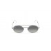 Cолнцезащитные очки Ray-Ban Oval Double RB 3847N 004/71