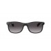 Солнцезащитные очки Ray-Ban Andy RB 4202 601/8G