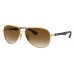 Солнцезащитные очки Ray-Ban RB 8313 001/51