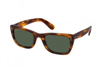 Солнцезащитные очки Ray-Ban RB 2248 954/31