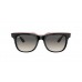 Солнцезащитные очки Ray-Ban RB 4368 651811
