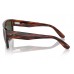 Солнцезащитные очки Ray-Ban RB 0360S 954/31