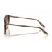 Солнцезащитные очки Ray-Ban RB 2203 13920A