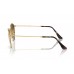 Сонцезахисні окуляри Ray-Ban RB 3447 001/G5 Сонцезахисні окуляри Ray-Ban RB 3447 001/G5