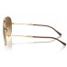 Солнцезащитные очки Ray-Ban RB 3825 001/51