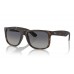 Солнцезащитные очки Ray-Ban Justin RB 4165 865/8S