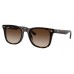 Солнцезащитные очки Ray-Ban RB 4420 710/13