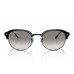 Солнцезащитные очки Ray-Ban RB 4429 672332