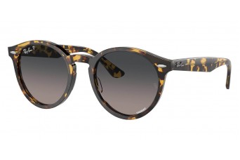 Солнцезащитные очки Ray-Ban RB 7680S 1332GL Солнцезащитные очки Ray-Ban RB 7680S 1332GL