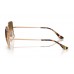 Солнцезащитные очки Ray-Ban RB 1971 920251