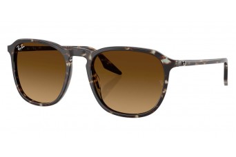 Солнцезащитные очки Ray-Ban RB 2203 143185
