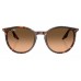 Солнцезащитные очки Ray-Ban RB 2204 14293B