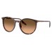 Солнцезащитные очки Ray-Ban RB 2204 14293B