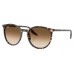 Солнцезащитные очки Ray-Ban RB 2204 143151