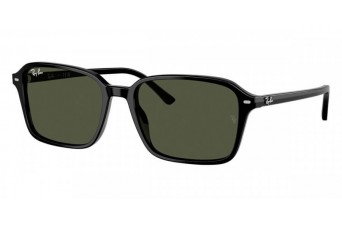 Солнцезащитные очки Ray-Ban RB 2231 901/31
