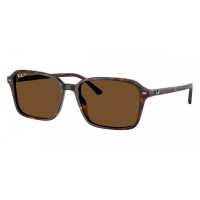 Солнцезащитные очки Ray-Ban RB 2231 902/57