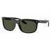 Солнцезащитные очки Ray-Ban RB 2389 901/31