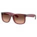 Солнцезащитные очки Ray-Ban Justin RB 4165 6815A5