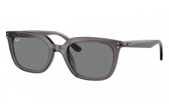 Солнцезащитные очки Ray-Ban RB 4439D 667587