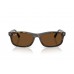 Солнцезащитные очки Ray-Ban RB 2224 710/57
